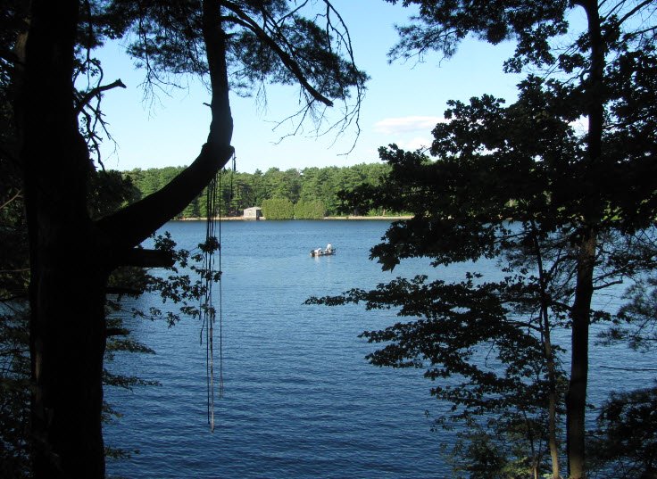 Cochituate State Park, Massachusetts, USA